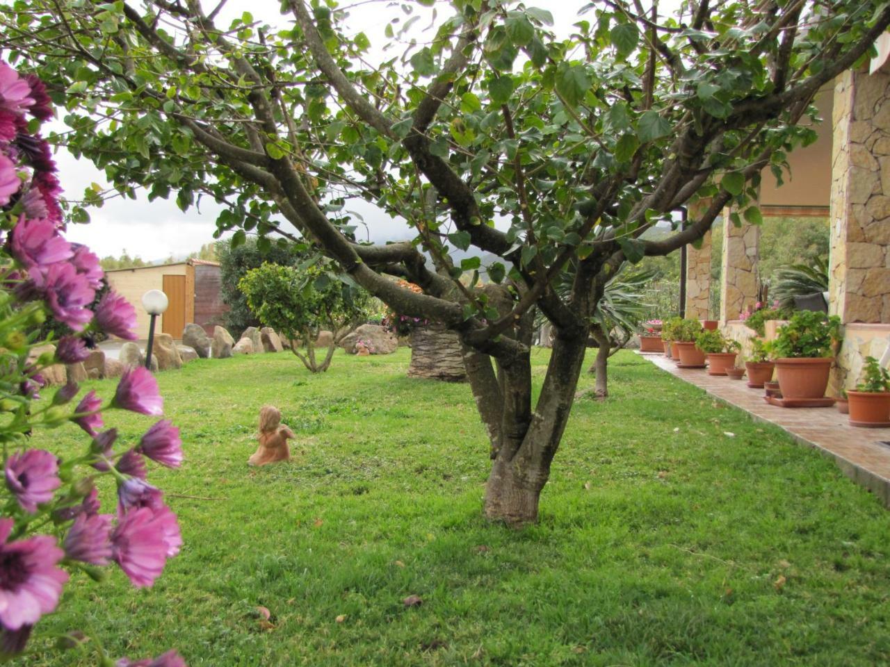 B&B Monte Gruttas Camisa Bagian luar foto